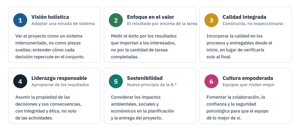 Los 6 principios del PMBOK 8: visión holística, valor, calidad, liderazgo, sostenibilidad y cultura empoderada